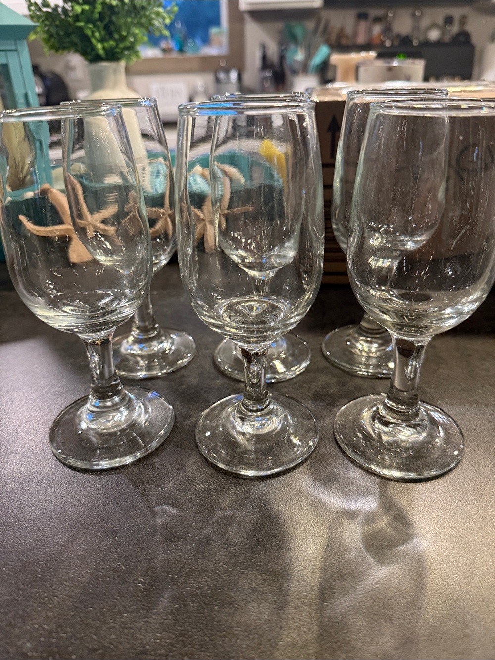 Clear Stemmed Glasses - Set of 6 6.25”